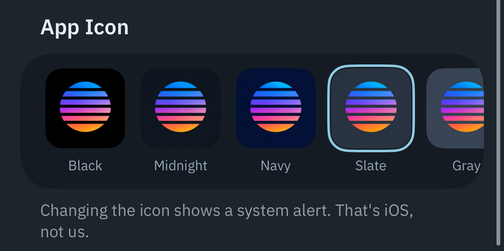 The App Icon row in Appearance settings: Black, Midnight, Navy, Slate, and Gray icons, with Slate selected